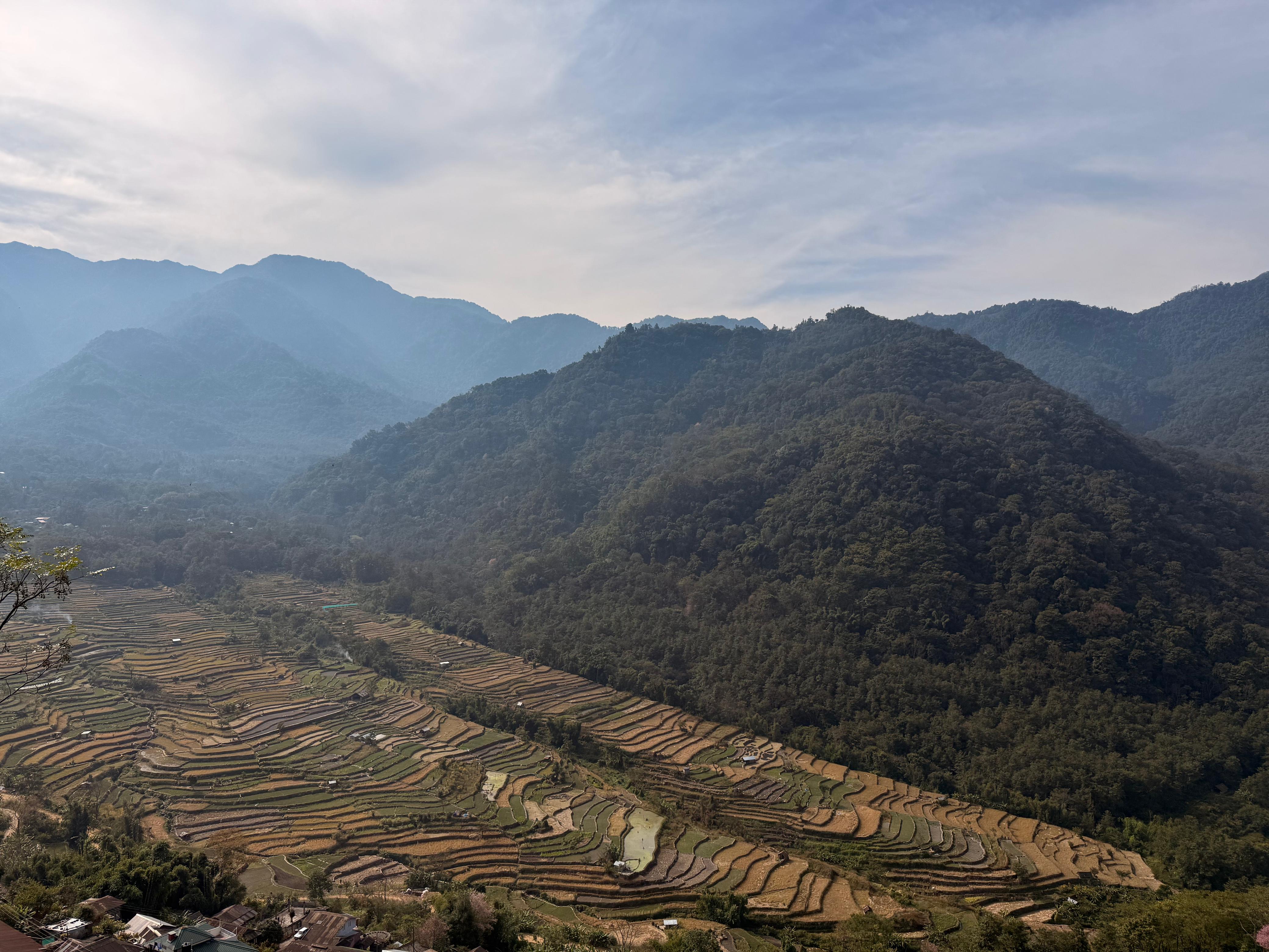 Terraced fields beneath the forested hills of Nagaland
